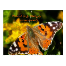 Painted Lady Butterfly (Vanessa cardui) Post Cards