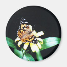 Painted Lady Fridge Magnet