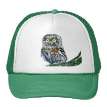 Painted owl hat