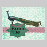 Painted Peacock Elegant Damask Table Card Postcard postcards