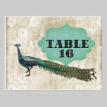 Painted Peacock Table Card Postcard postcards