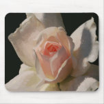 Painted Pink and White Rose on Black - Mousepad