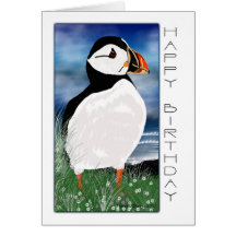 Painted Puffin Birthday Card - Birthday Card With