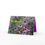 Painted Purple Coneflower cards