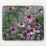 Painted Purple Coneflower mousepads