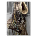 Painted Saddle cards