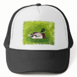 Painted Sitting Mallard Duck Hat