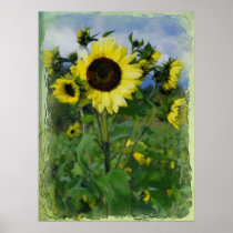 Painted Sunflowers Print