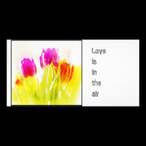 Painted Tulips, photo cards