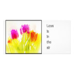 Painted Tulips, photo cards