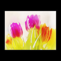 Painted Tulips postcards