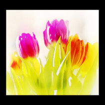 Painted Tulips posters