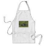 Painted Turtle aprons