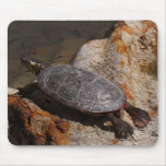 Painted Turtle On Rusty Metal mousepads