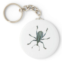 Painted Weevil Key Chain