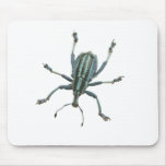 Painted Weevil mousepads