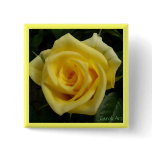 "Painted Yellow Rose" Pin