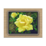 Painted yellow rose postcards