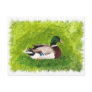 Painting of Mallard Duck sitting in the grass Postcard