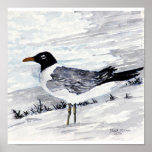 paintings and prints of seagulls beach art