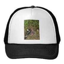 Pair of Bobolinks with nest Mesh Hats