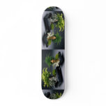 Pair of bonsai trees with ornamental figures skateboard deck