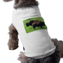 Pair of Buffaloes Pet Tshirt
