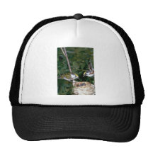 Pair of Chestnut-sided Warblers with nest Trucker Hats