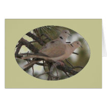 Pair of Doves Card