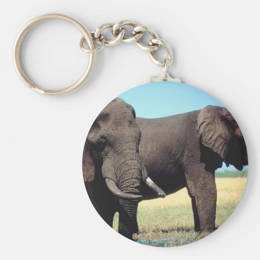 Pair of Elephants Keychain