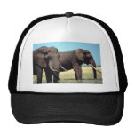 Pair of Elephants Trucker Hat
