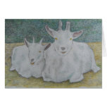 pair of goats card