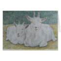pair of goats cards