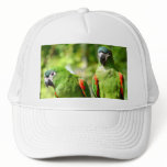 Pair of Green Parrots Hat