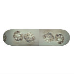 Pair of Ice cubes Skate Boards