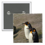 Pair of Penguins Square Pin
