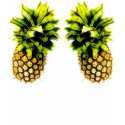 Pair of Perky Pineapples Tank Top t-shirts
