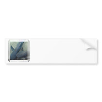 Pair of Sharks Bumper Sticker