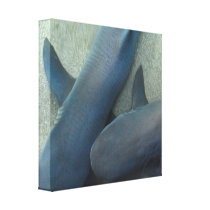 Pair of Sharks Canvas Print