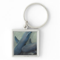 Pair of Sharks Keychain