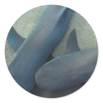 Pair of Sharks Stickers