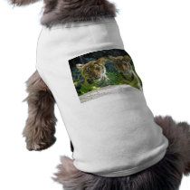 Pair of Tiger Cubs Portrait Doggie Shirt