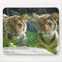 Pair of Tiger Cubs Portrait Mousepads