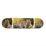 Pair of White Tigers Skateboard