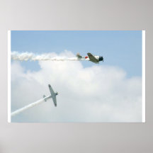 Pair of Zeros Poster