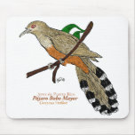 Pájaro Bobo Mayor/Puerto Rican Lizard Cuckoo mousepads