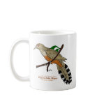Pajaro Bobo Mayor/ Puerto Rican Lizard Cuckoo mugs