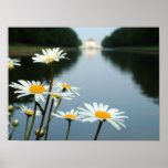 Palace Flowers posters
