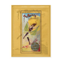Palace Theatre of Varieties Postcard