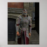 Paladin Poster posters